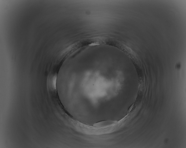 X0000096650047200802121142