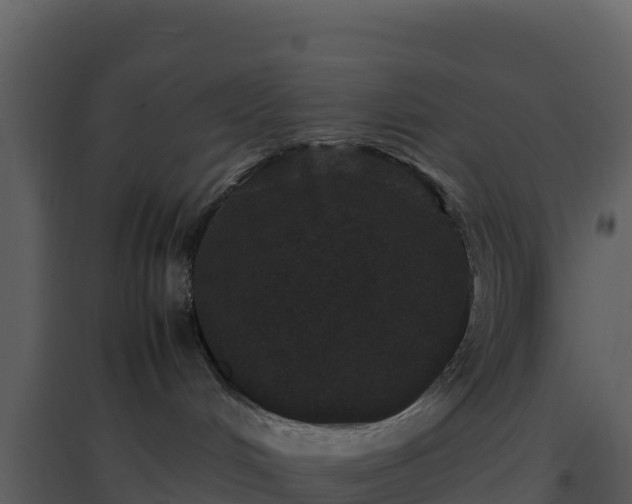 X0000096650048200802121142