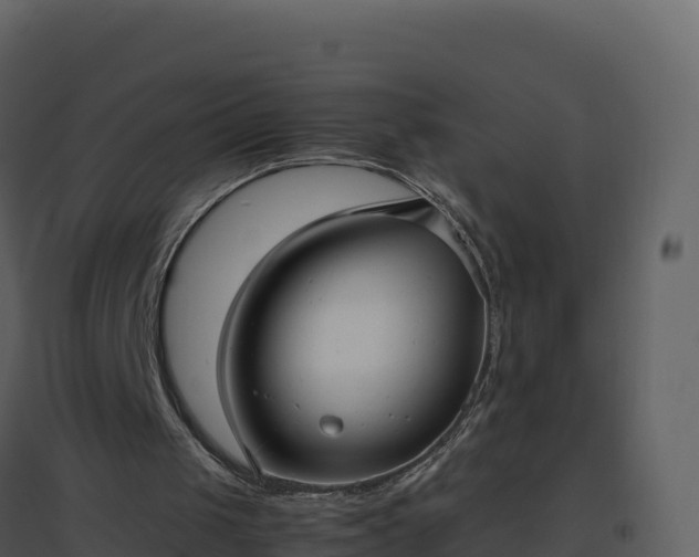 X0000096650049200802121141