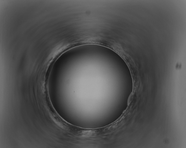 X0000096650050200802121141