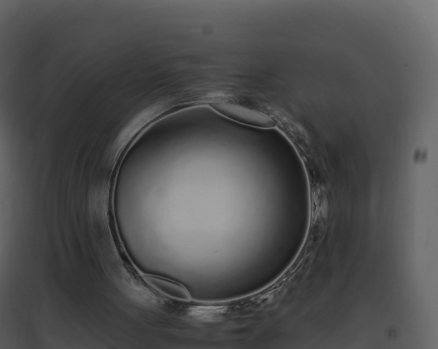 X0000096650051200802121141