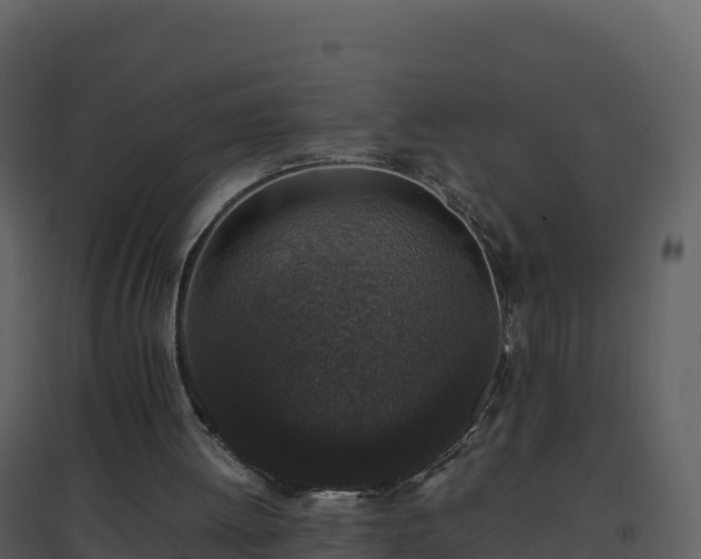 X0000096650052200802121141
