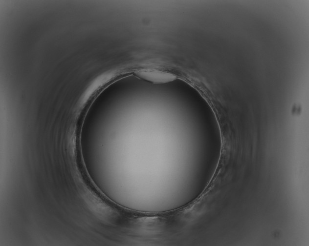 X0000096650054200802121141