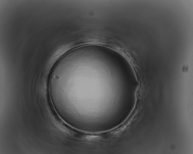X0000096650055200802121141