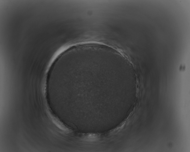 X0000096650056200802121141