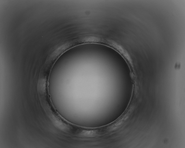 X0000096650057200802121141