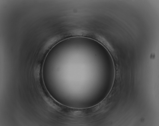 X0000096650058200802121141