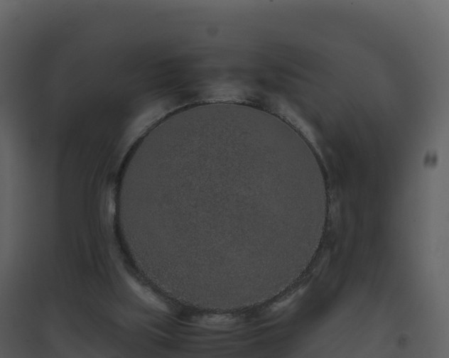 X0000096650059200802121141