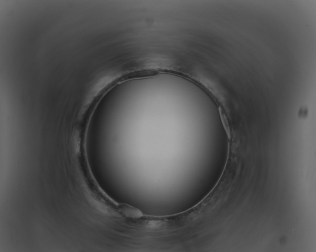X0000096650060200802121141