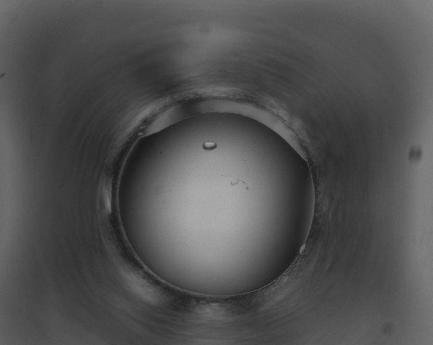 X0000096650062200802121142