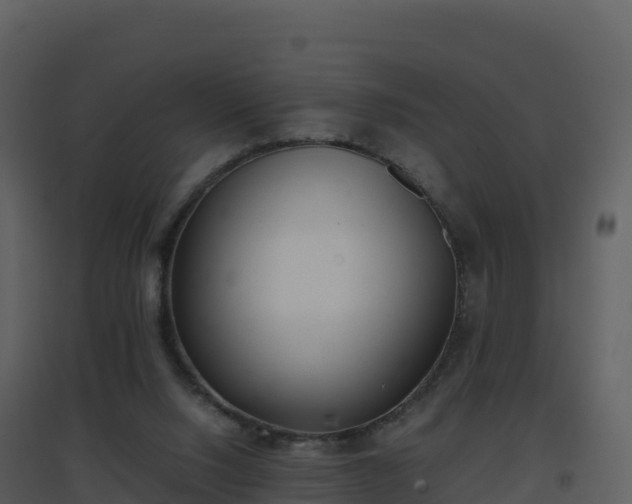 X0000096650064200802121142