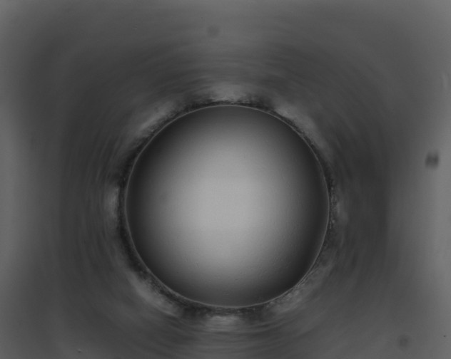X0000096650066200802121142