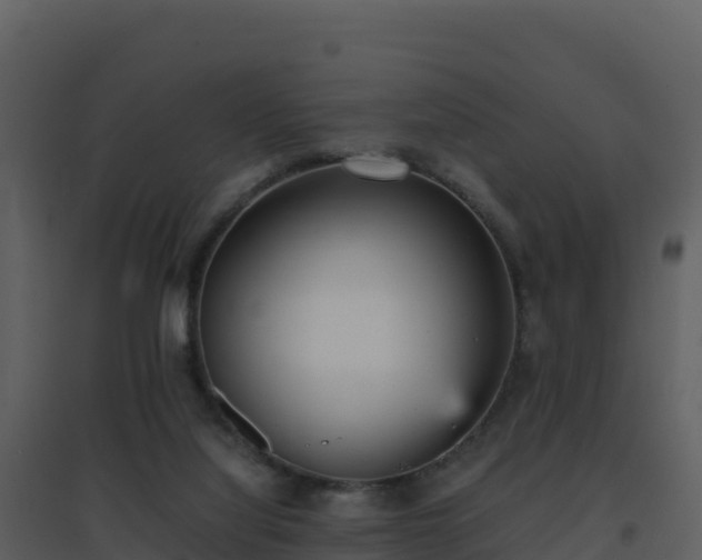 X0000096650068200802121142