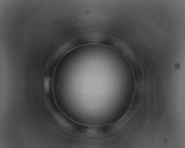 X0000096650070200802121142