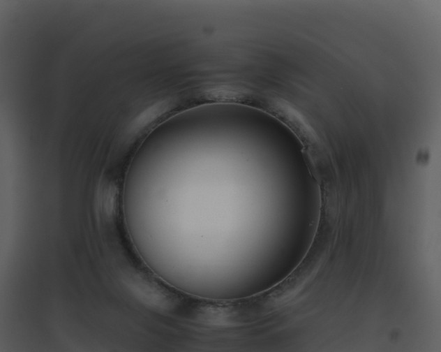 X0000096650071200802121142