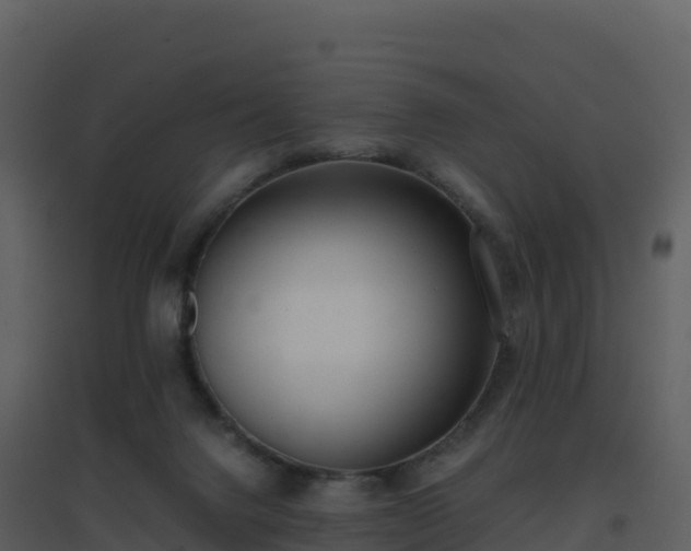 X0000096650072200802121142