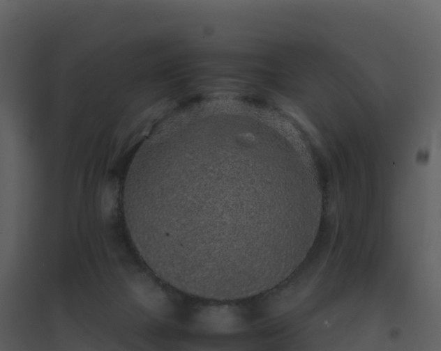 X0000096650073200802121142