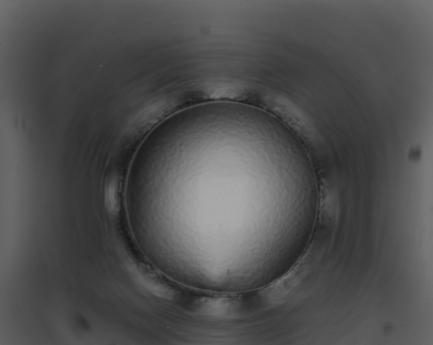 X0000096650074200802121142
