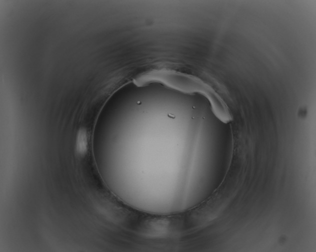 X0000096650075200802121142