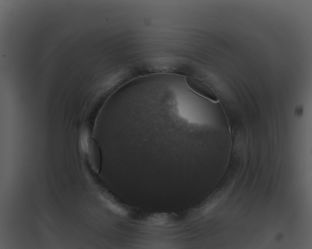 X0000096650076200802121142