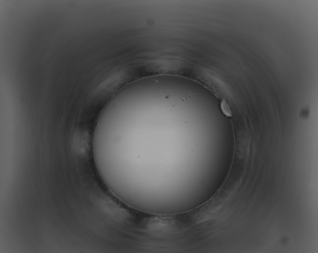 X0000096650077200802121142