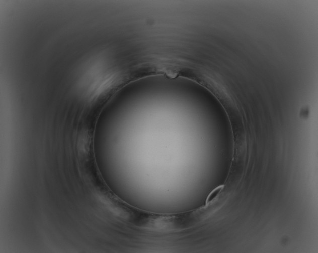 X0000096650078200802121142