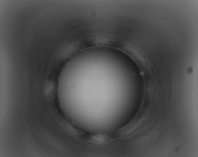 X0000096650079200802121142