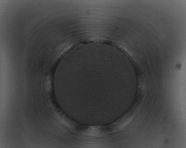 X0000096650080200802121142