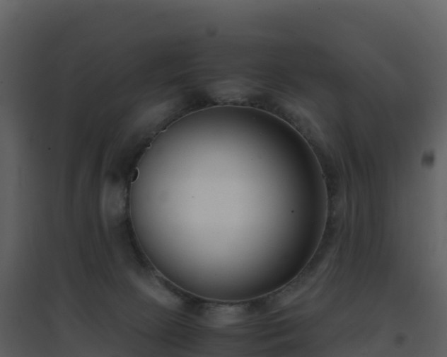 X0000096650081200802121142