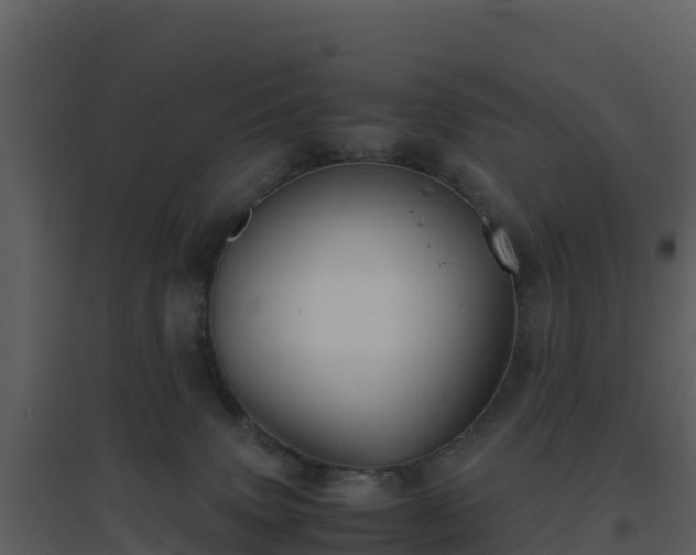 X0000096650083200802121142