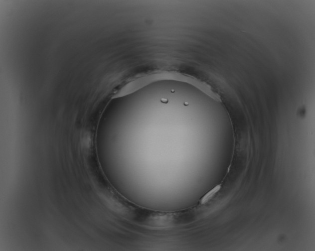 X0000096650084200802121142