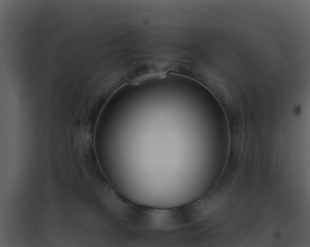 X0000096650085200802121142