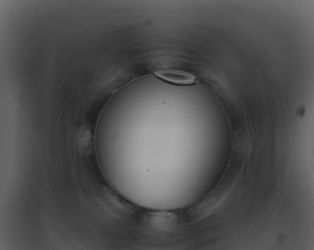X0000096650087200802121142