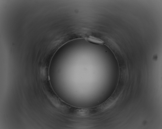 X0000096650088200802121142