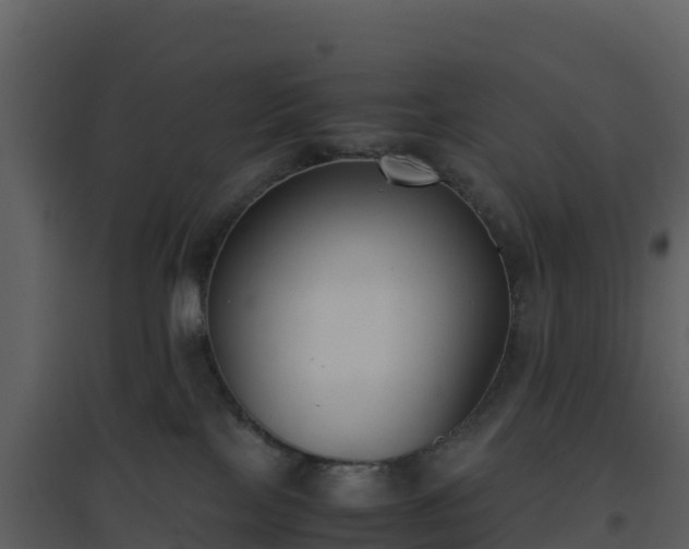 X0000096650089200802121142