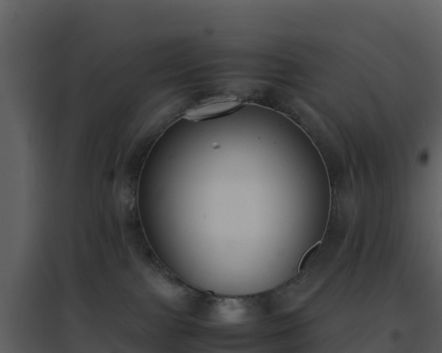 X0000096650091200802121142