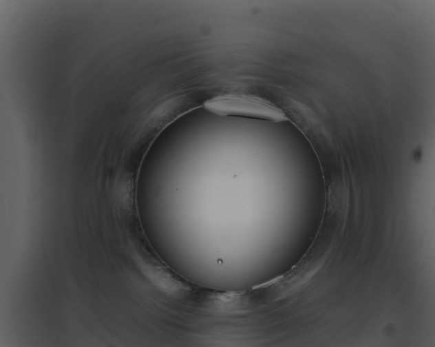 X0000096650092200802121142
