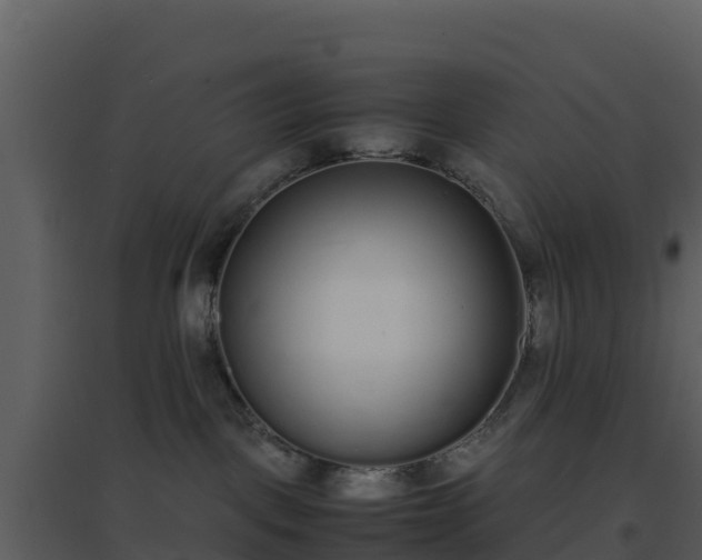 X0000096650093200802121142
