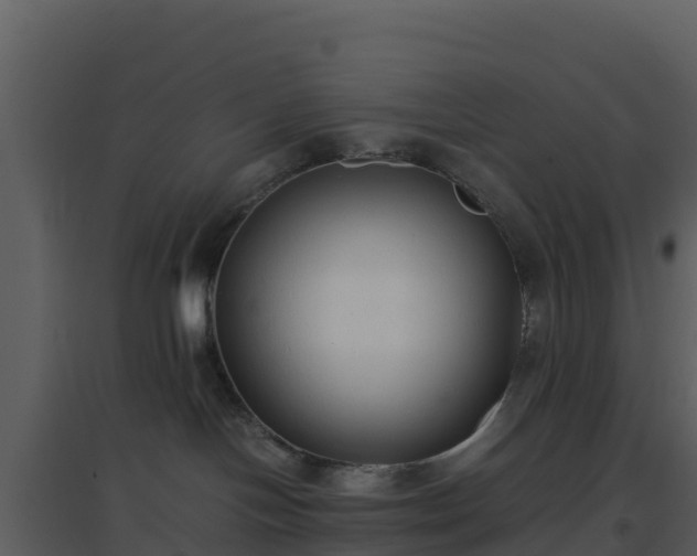 X0000096650094200802121142