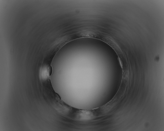 X0000096650095200802121142
