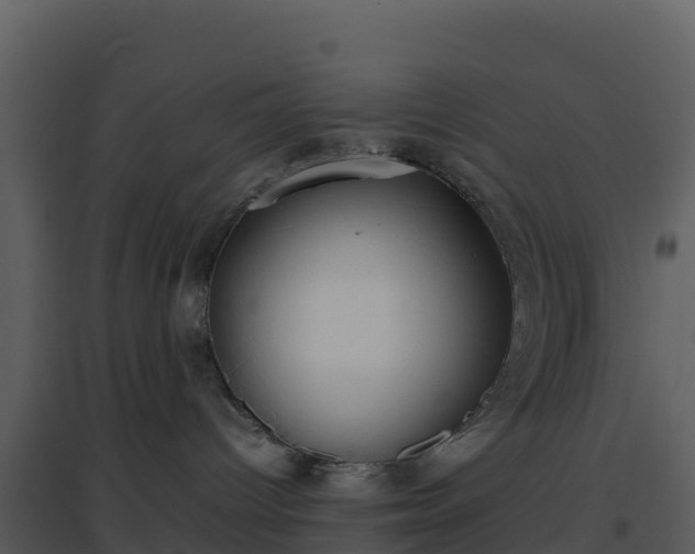 X0000096650096200802121142