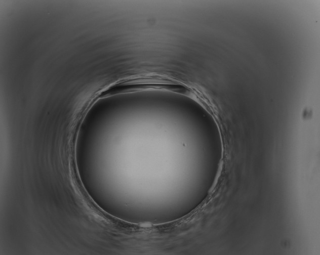 X0000096650097200802121141