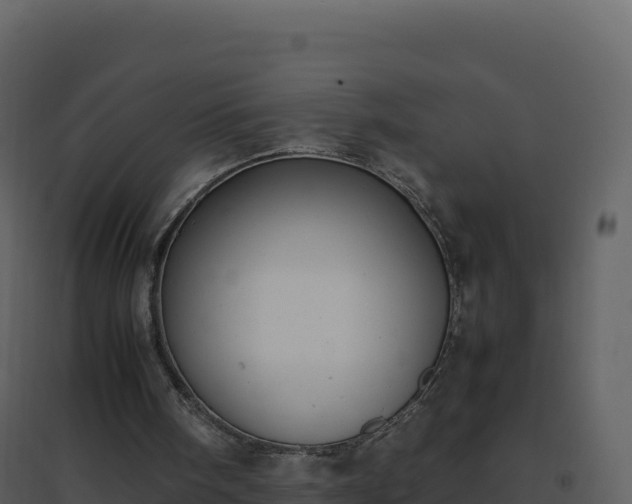 X0000096650098200802121141