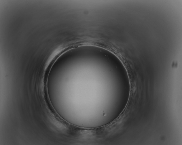 X0000096650102200802121141