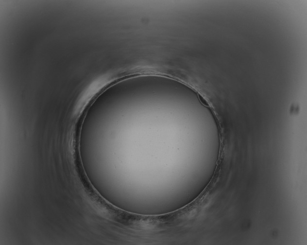 X0000096650103200802121141