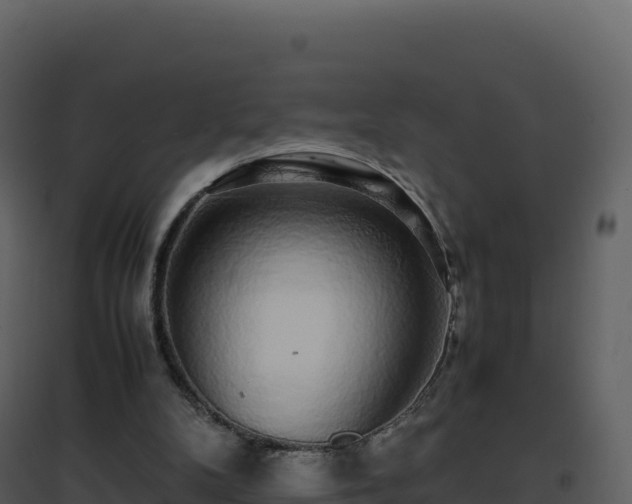 X0000096650104200802121141