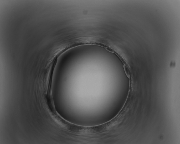 X0000096650105200802121141