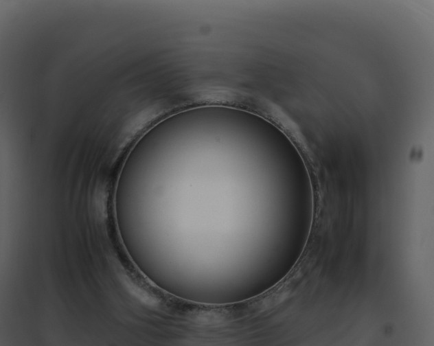 X0000096650106200802121141