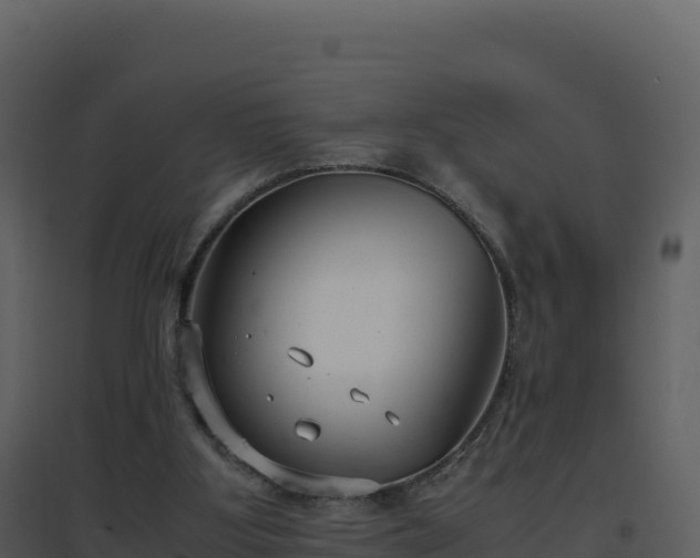 X0000096650107200802121141