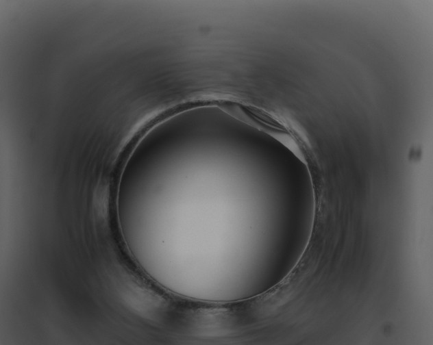 X0000096650108200802121141